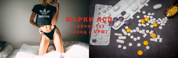 дживик Касимов