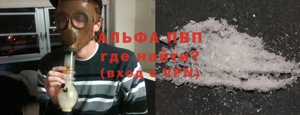 дживик Касимов